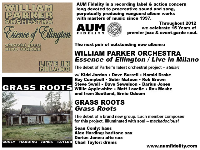 Aum Fidelity