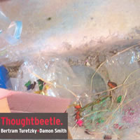Bertram Turetsky + Damon Smith - Thoughtbeetle