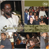 Salim Washington - Strings